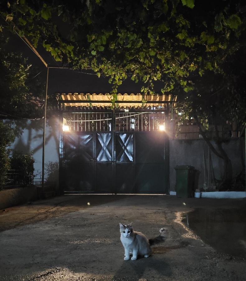 Unique Traditional House, Hosted By J&G ティラナ エクステリア 写真