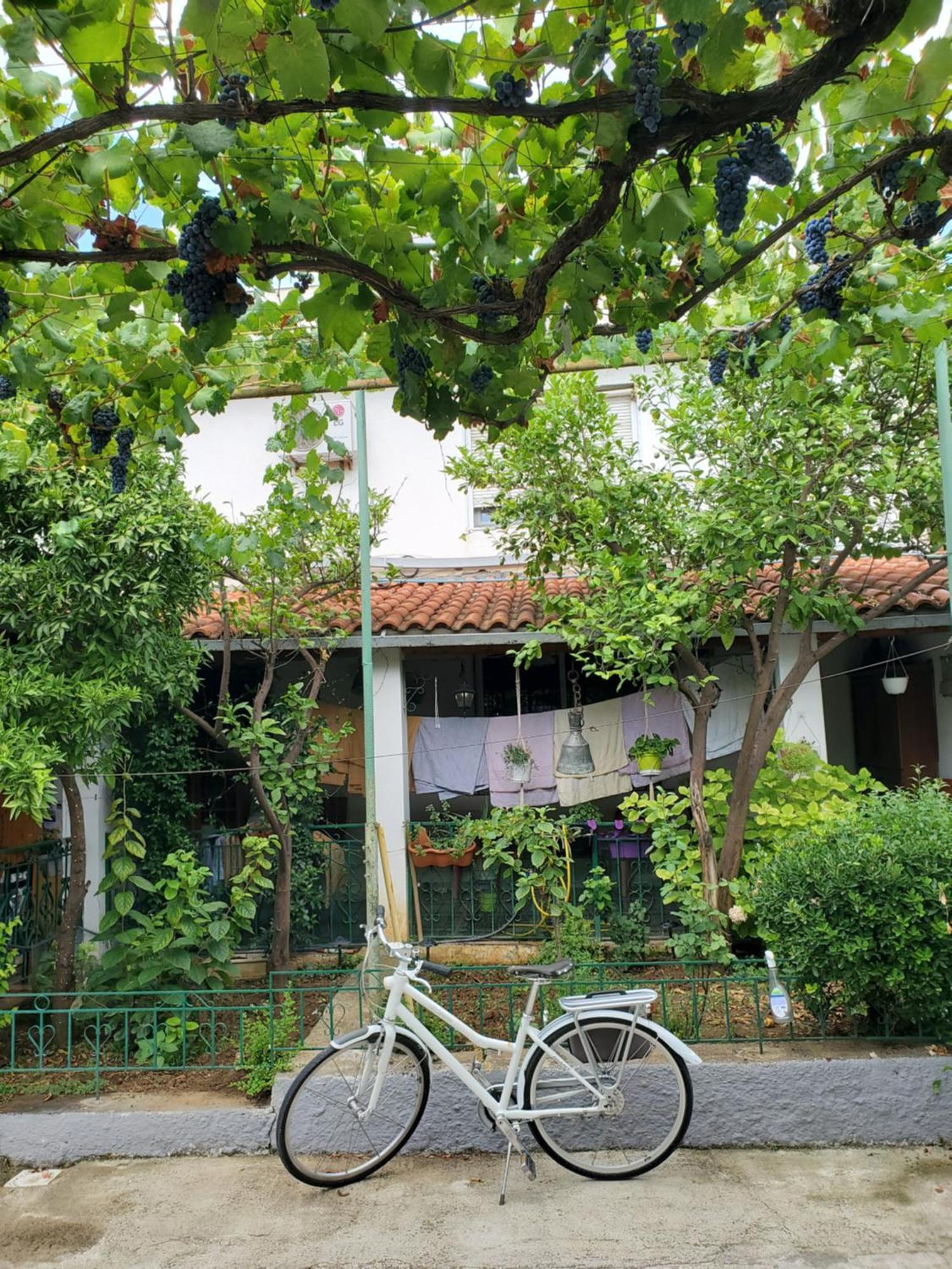 Unique Traditional House, Hosted By J&G ティラナ エクステリア 写真